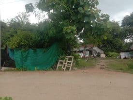 ที่ดินเพชรบุรี จ.เพชรบุรี อ.ชะอำ 2-3-77 ไร่