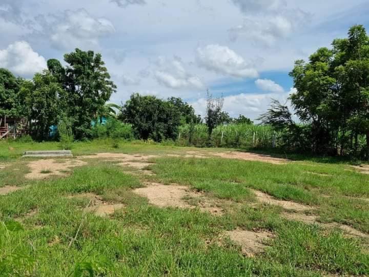 ขายที่ดิน สุพรรณบุรี 1 ไร่
