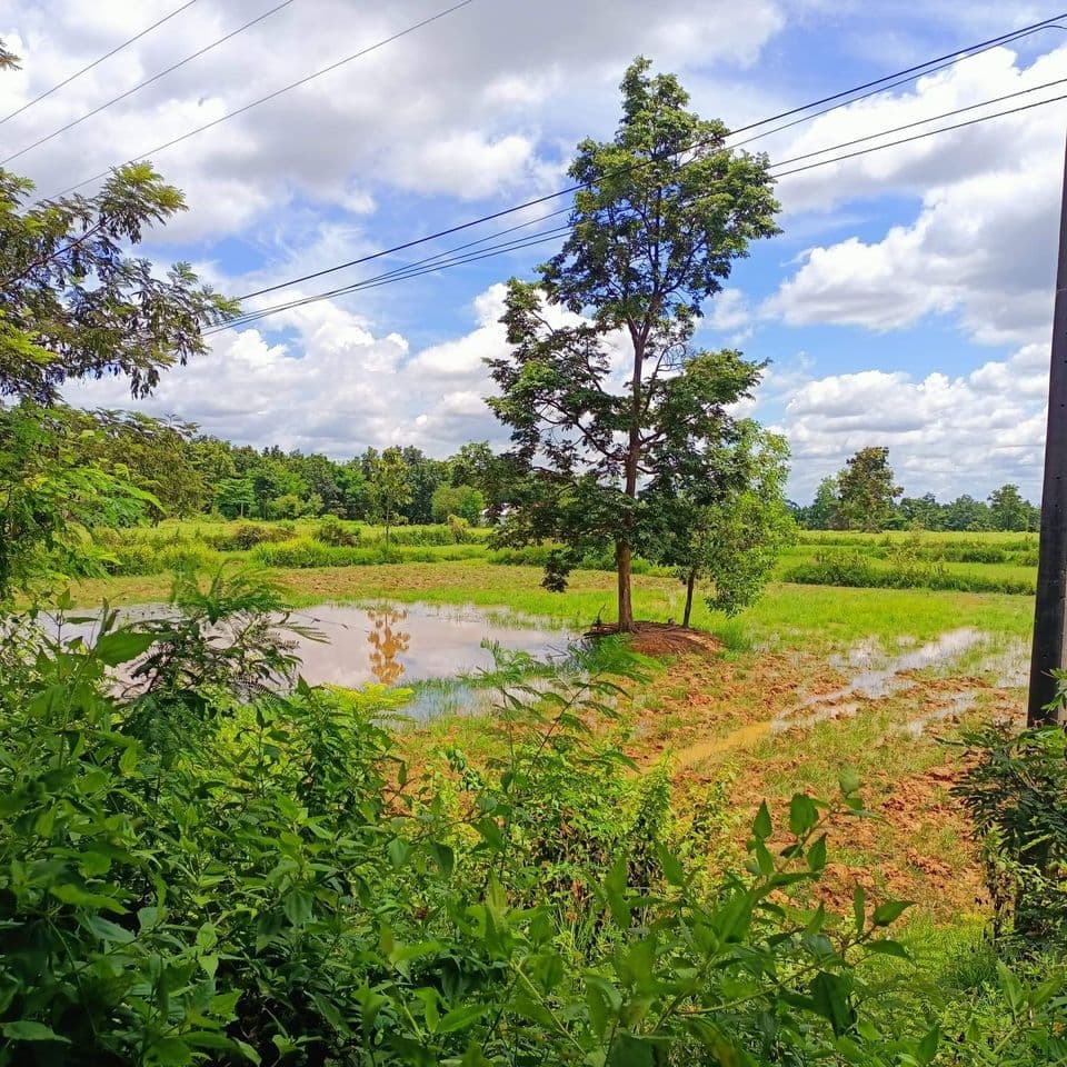 ขายที่ดิน ต.บ้านชัย อ.บ้านดุง จ.อุดรธานี 53-2-22 ไร่