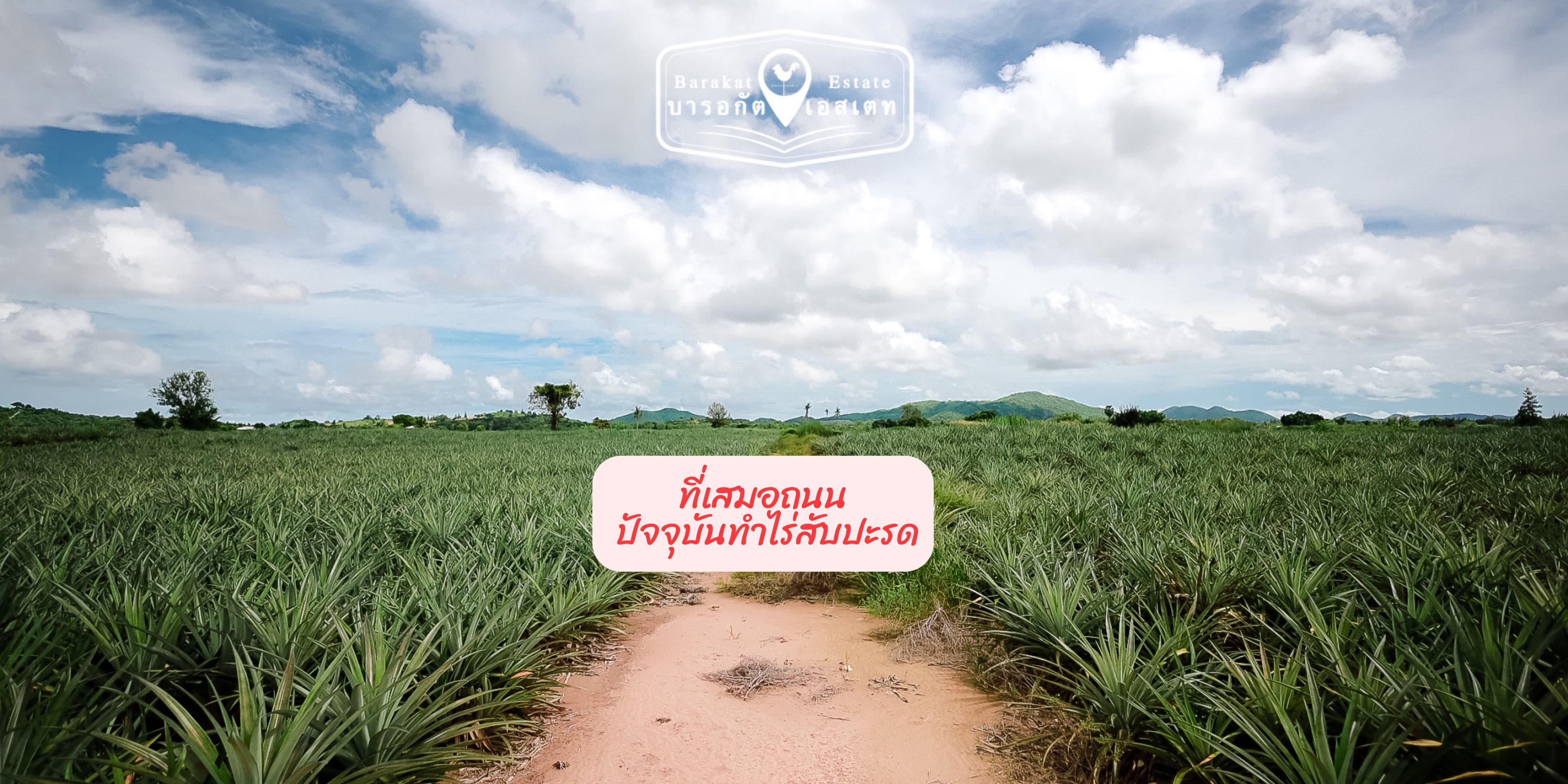 แปลงสวยวิวภูเขา เหมาะสำหรับทำจัดสรร,รีสอร์ท,การเกษตร อำเภอปราณบุรี จังหวัดประจวบคีรีขันธ์