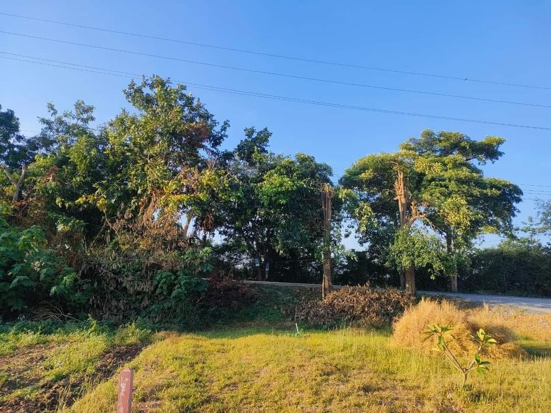 ขายที่ดิน สระบุรี 2-0-79 ไร่