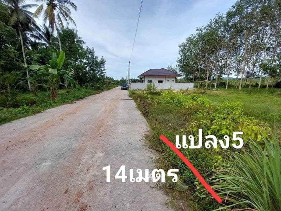 ขายที่ดิน สงขลา 61.1 ตรว.