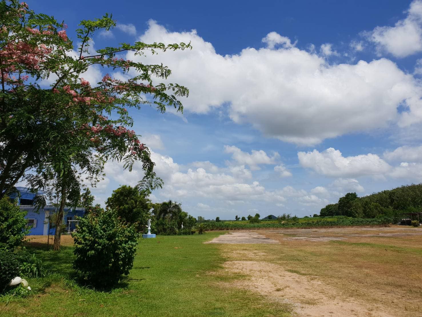 ที่ดิน บางละมุง ชลบุรี 293-1-95