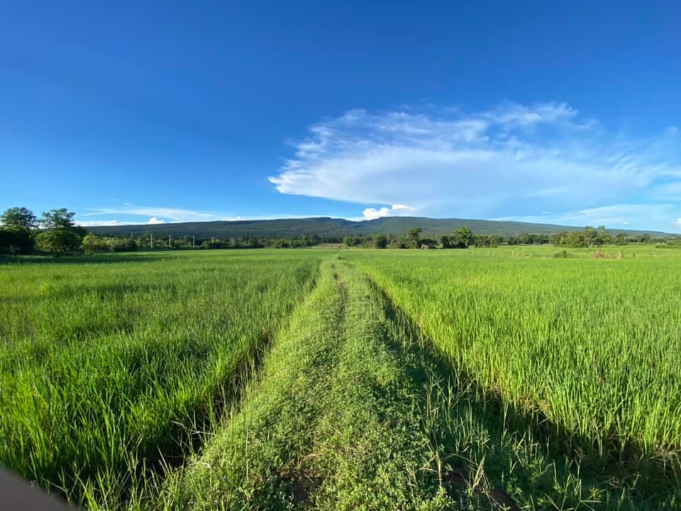 ขายที่ดินชัยภูมิ เมืองชัยภูมิ 15-3-21.7
