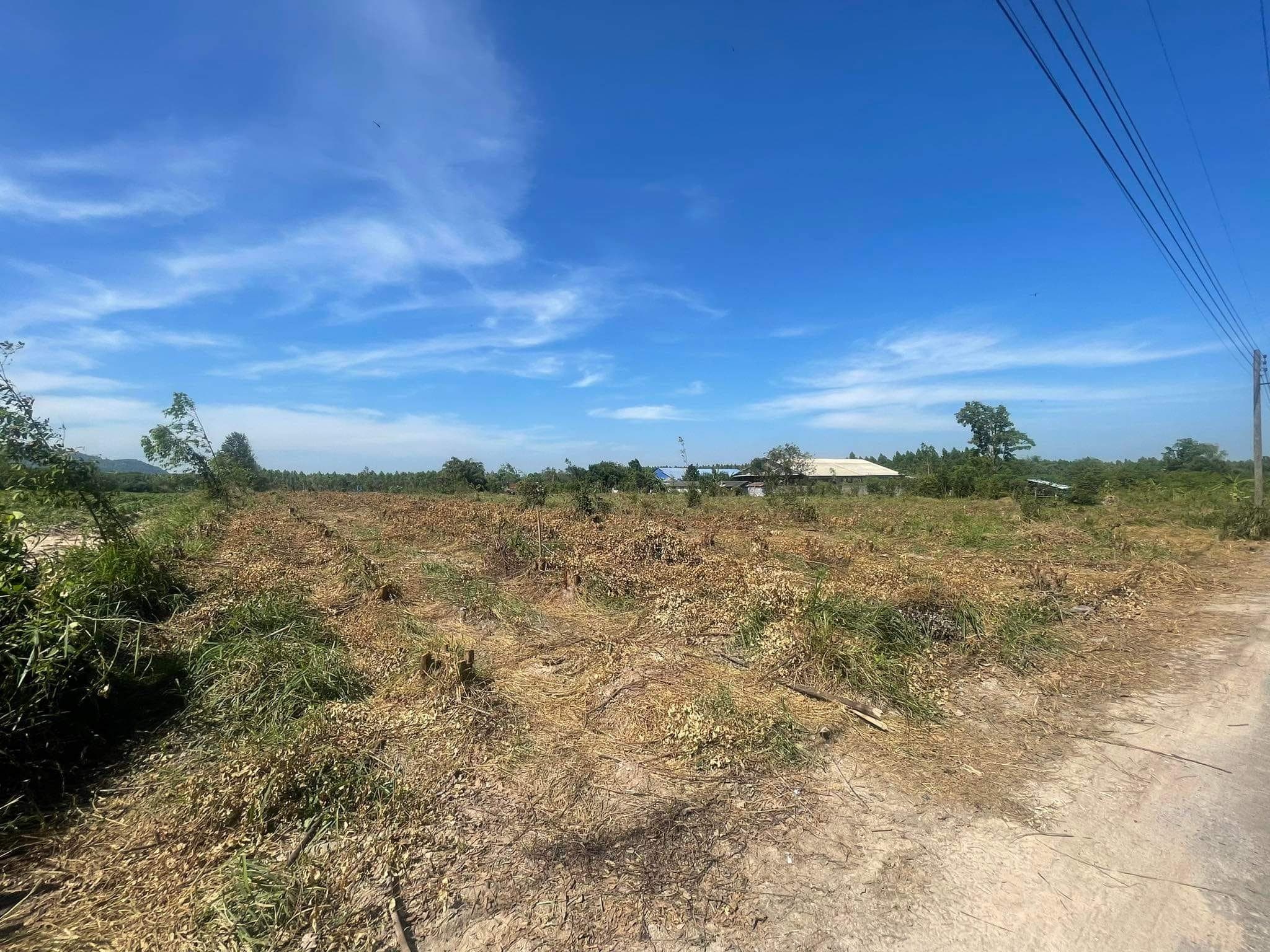 ขายที่ดิน อ.บ้านบึง จ.ชลบุรี  20-2-70 ไร่