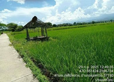 ที่นาสวยๆท่ามกลางธรรมชาติ