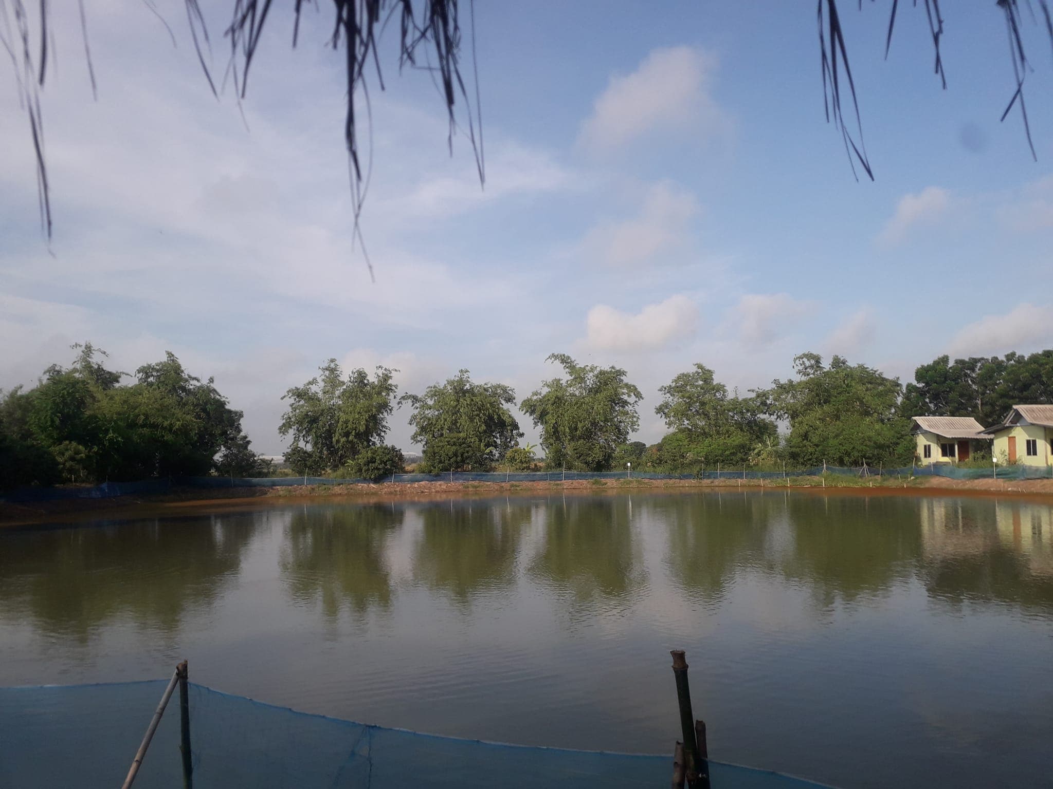 ขายที่ดินชัยนาท มโนรมย์ 4-3-97.7