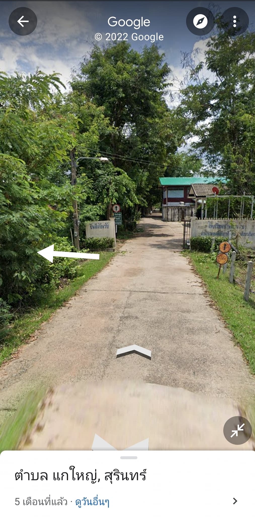 ขายที่ดินสุรินทร์ เมืองสุรินทร์ 1-0-0