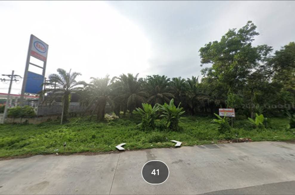 ขายที่ดิน สุราษฎร์ธานี 4-2-53.6 ไร่