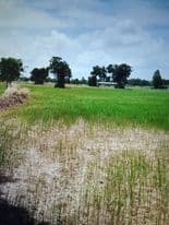 ที่ดินเปล่า ปราจีนบุรี 74-3-84