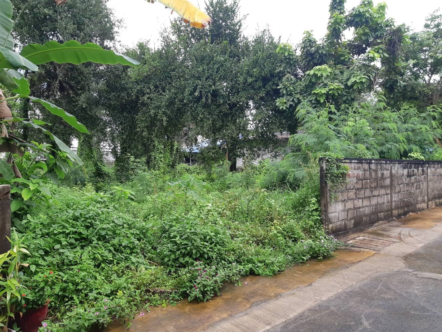 ขายที่ดินขอนแก่น เมืองขอนแก่น 0-2-56.3