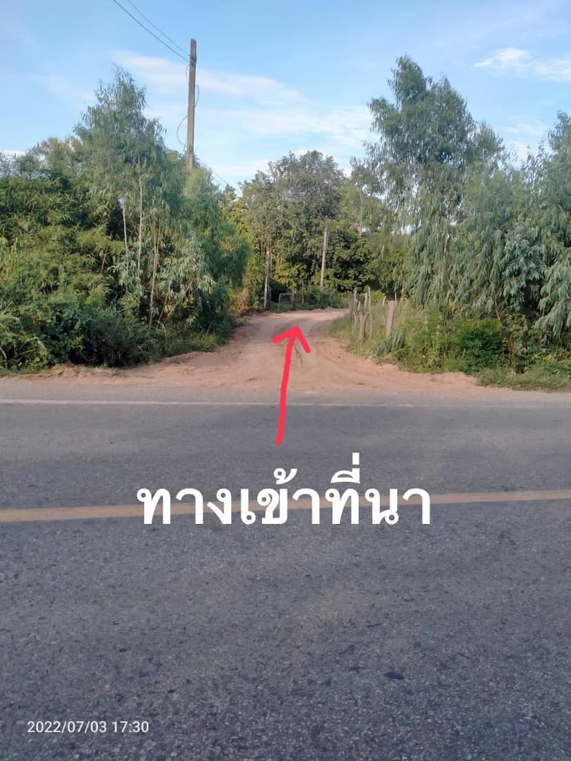 ขายที่ดินขอนแก่น มัญจาคีรี 18-3-40
