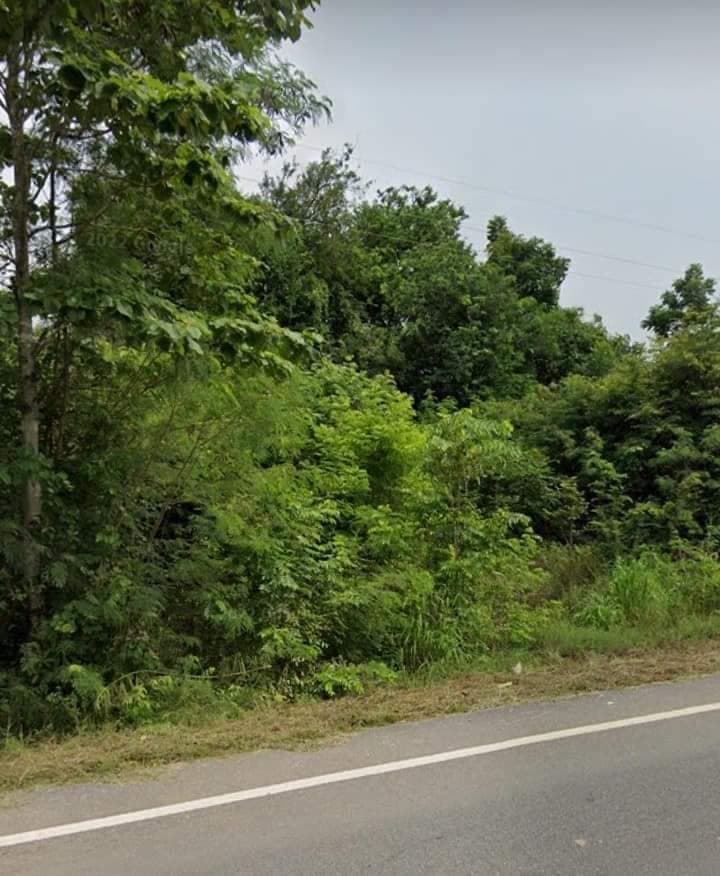 ขายที่ดินอุตรดิตถ์ น้ำปาด 7-0-29