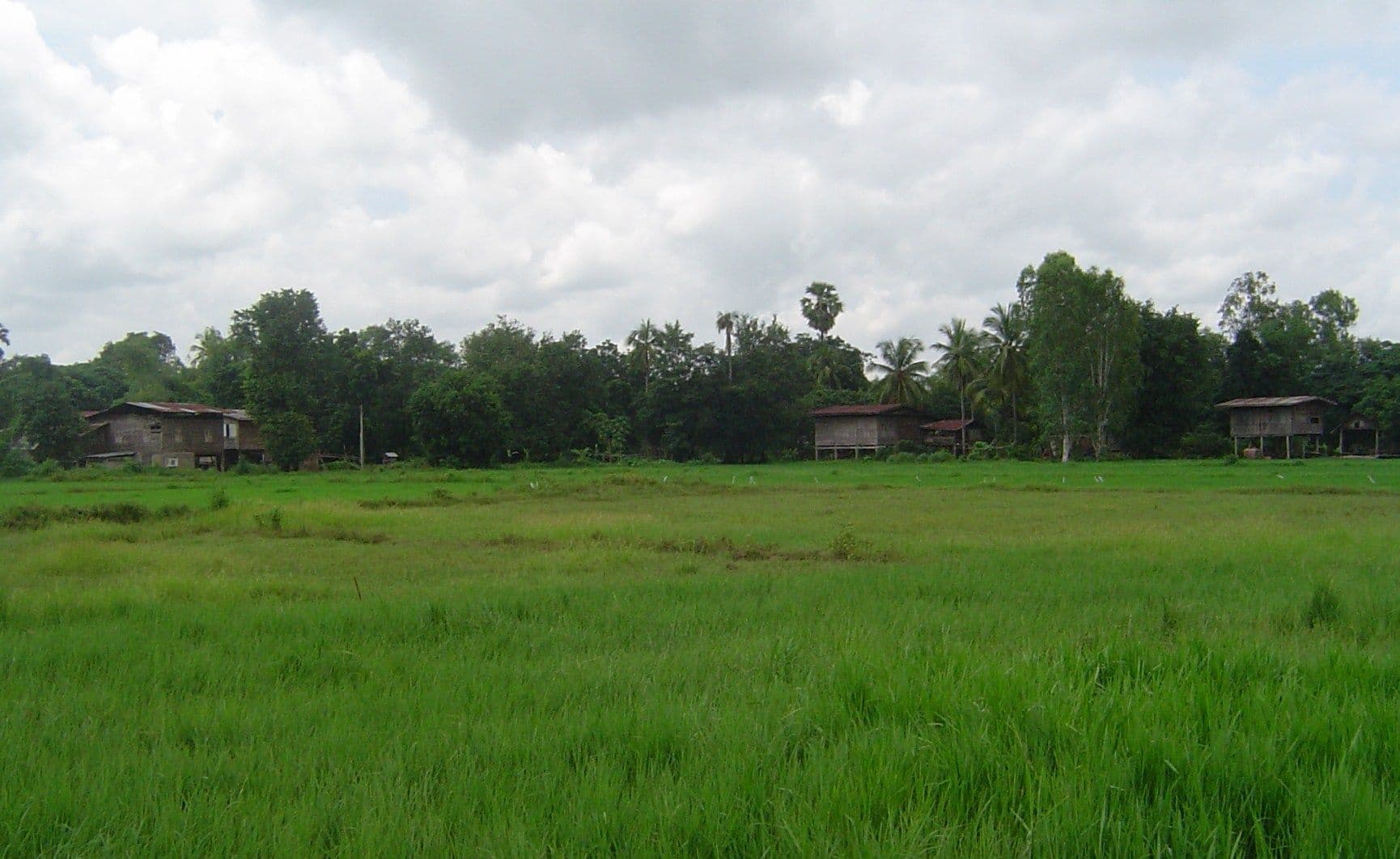 Land for Sale – 6,112 sqm in Makham Sung, Phitsanulok - Quiet Street Near Khwae Noi River