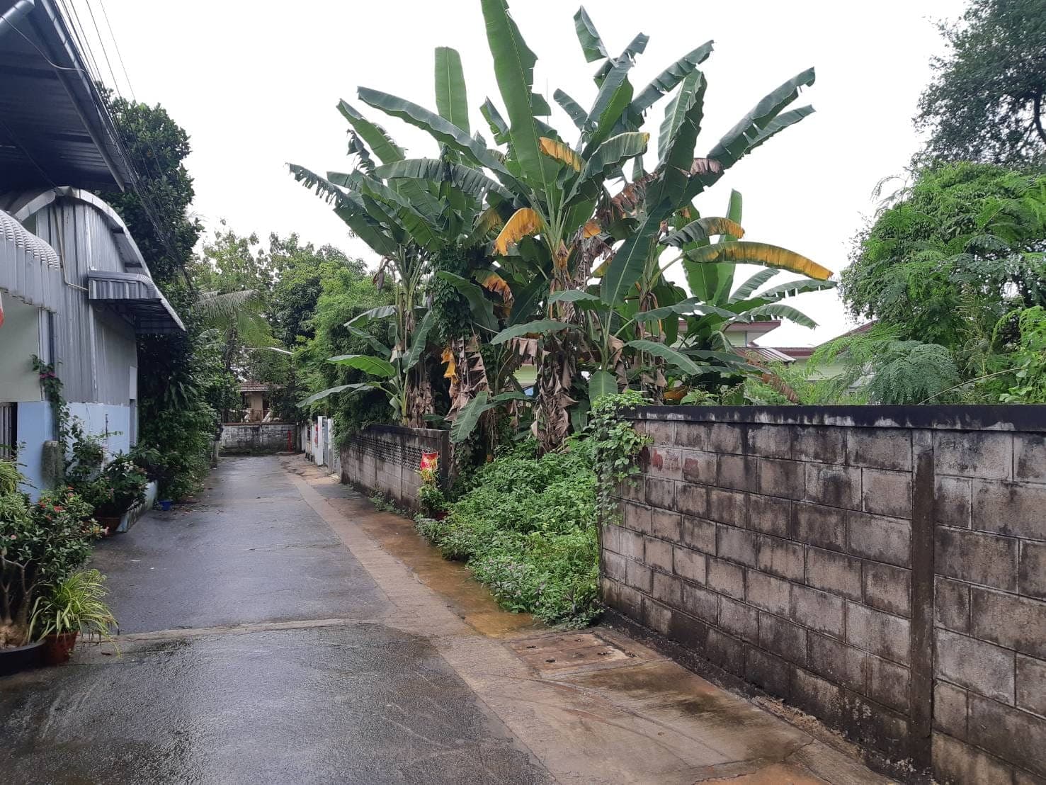 ขายที่ดินขอนแก่น เมืองขอนแก่น 0-2-56.3