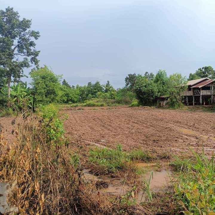 ขายที่ดิน พร้อมบ้านไม้ อำเภอเพ็ญ จังหวัดอุดรธานี 5-1-28 ไร่