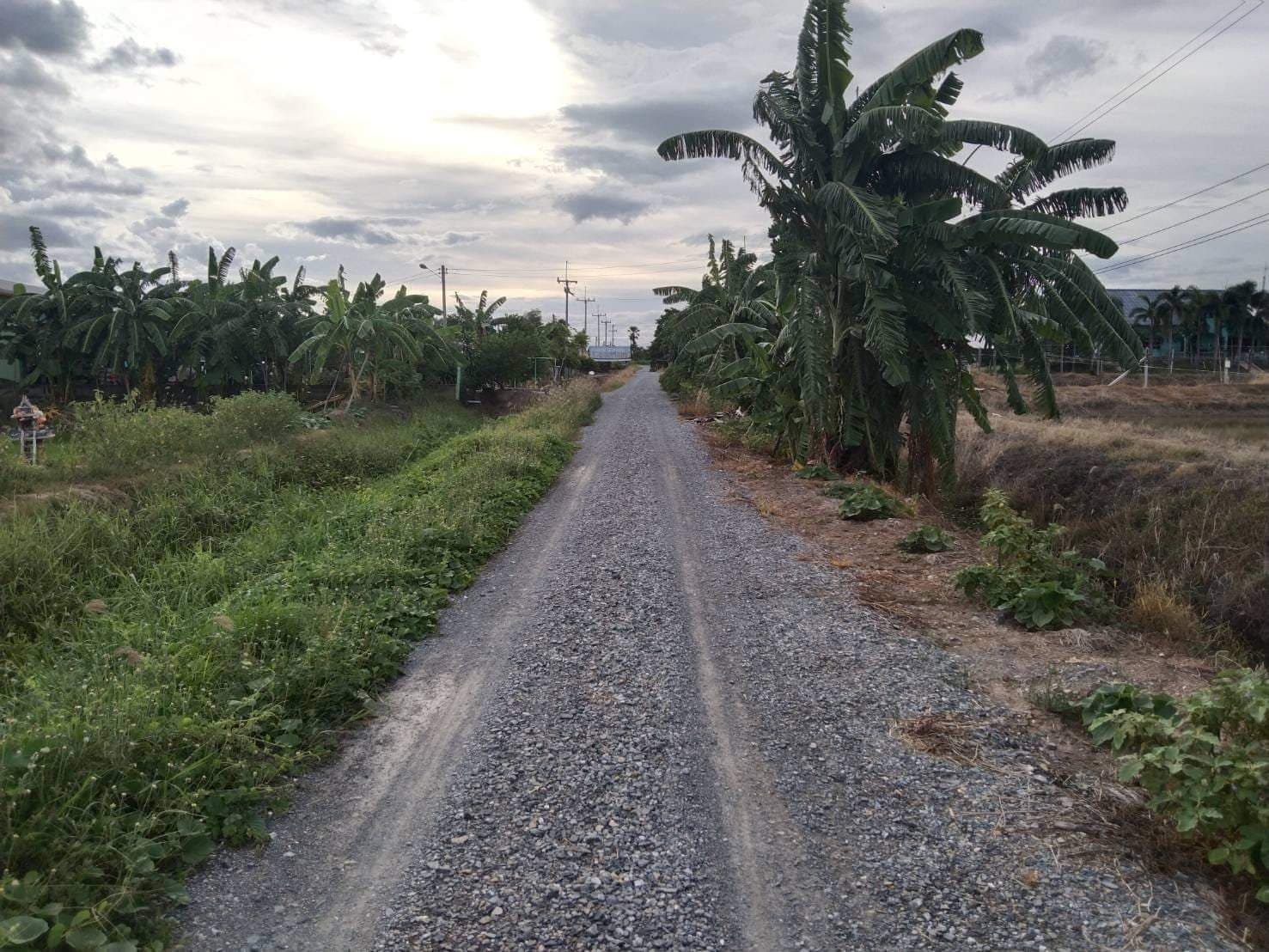 ขายที่ดิน ที่นา ดอนเจดีย์ สุพรรณบุรี 2-3-36