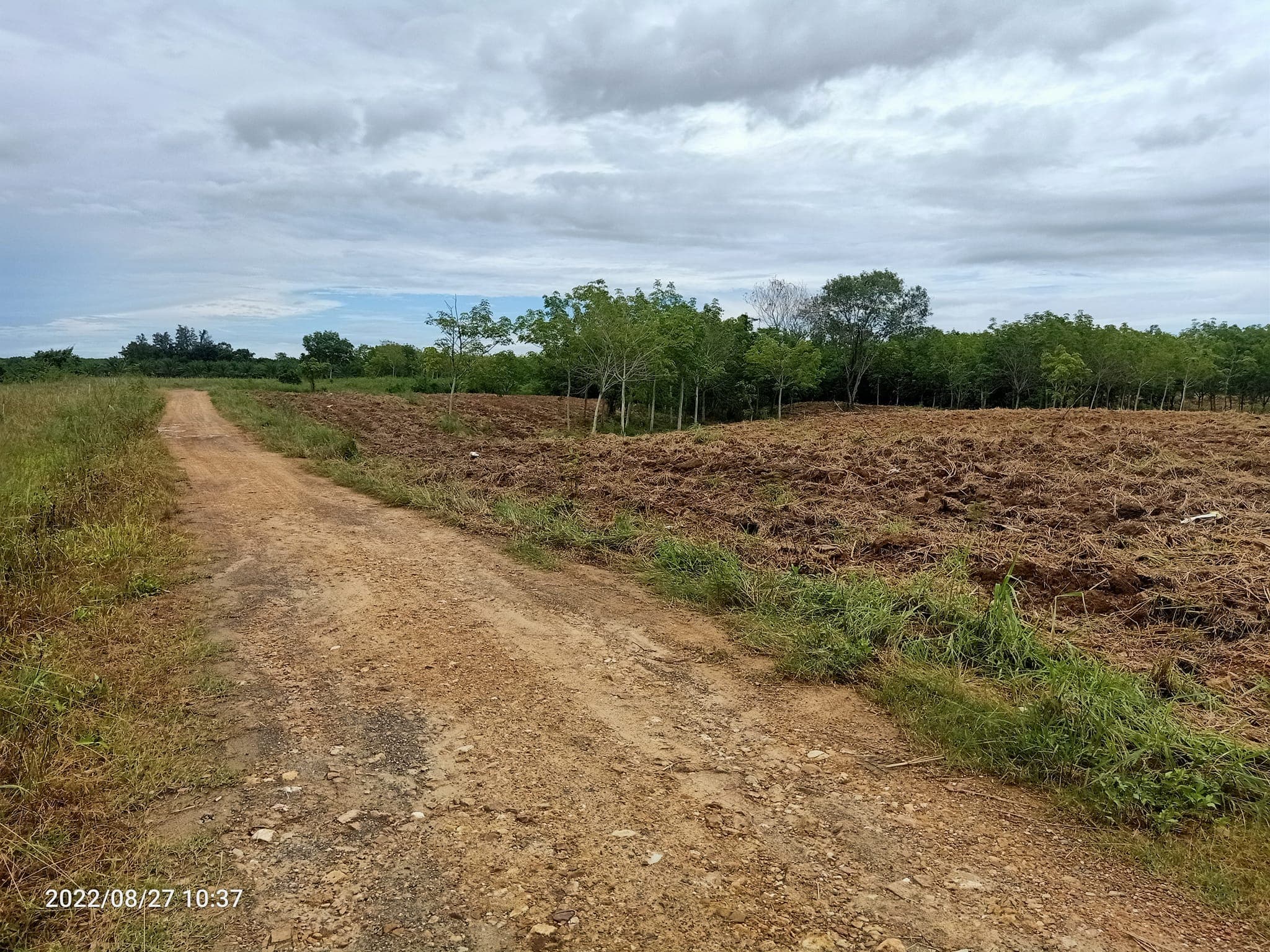 ขายที่ดินประจวบคีรีขันธ์ เมืองประจวบคีรีขันธ์ 33-2-19.4 ไร่
