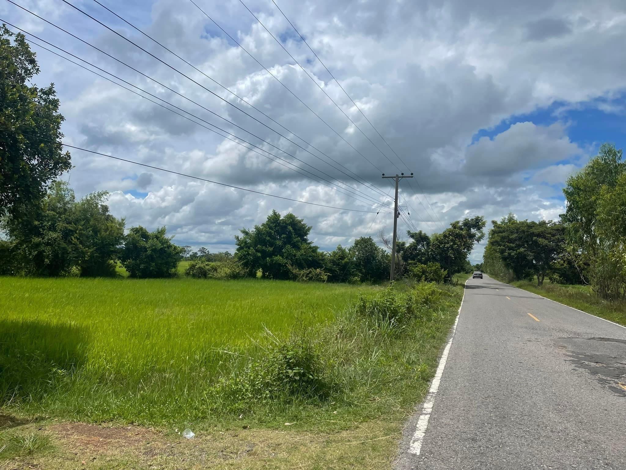 ขายที่ดิน อ.ธวัชบุรี จ.ร้อยเอ็ด 0-3-53 ไร่