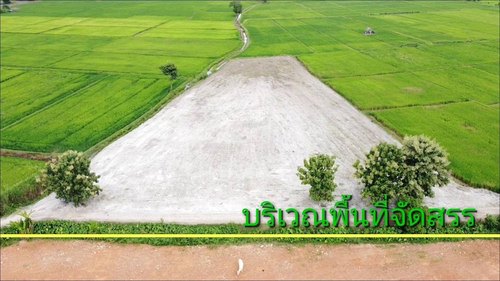 ที่ดินทุ่งนาวิวสวย แม่จัน เชียงราย 3-1-72