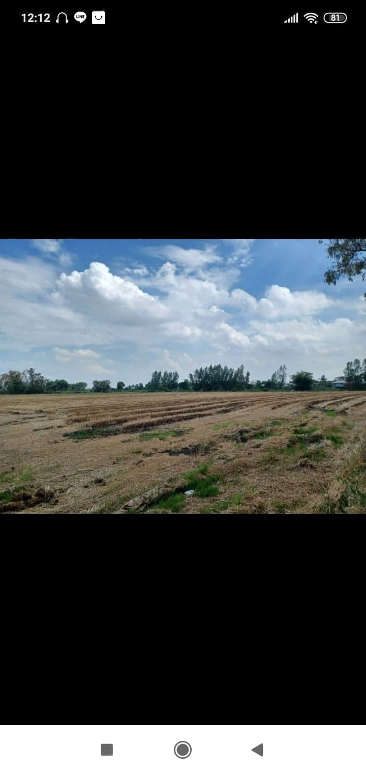 ที่ดินเปล่าพิษณุโลก จ.พิษณุโลก อ.บางระกำ 20 ไร่
