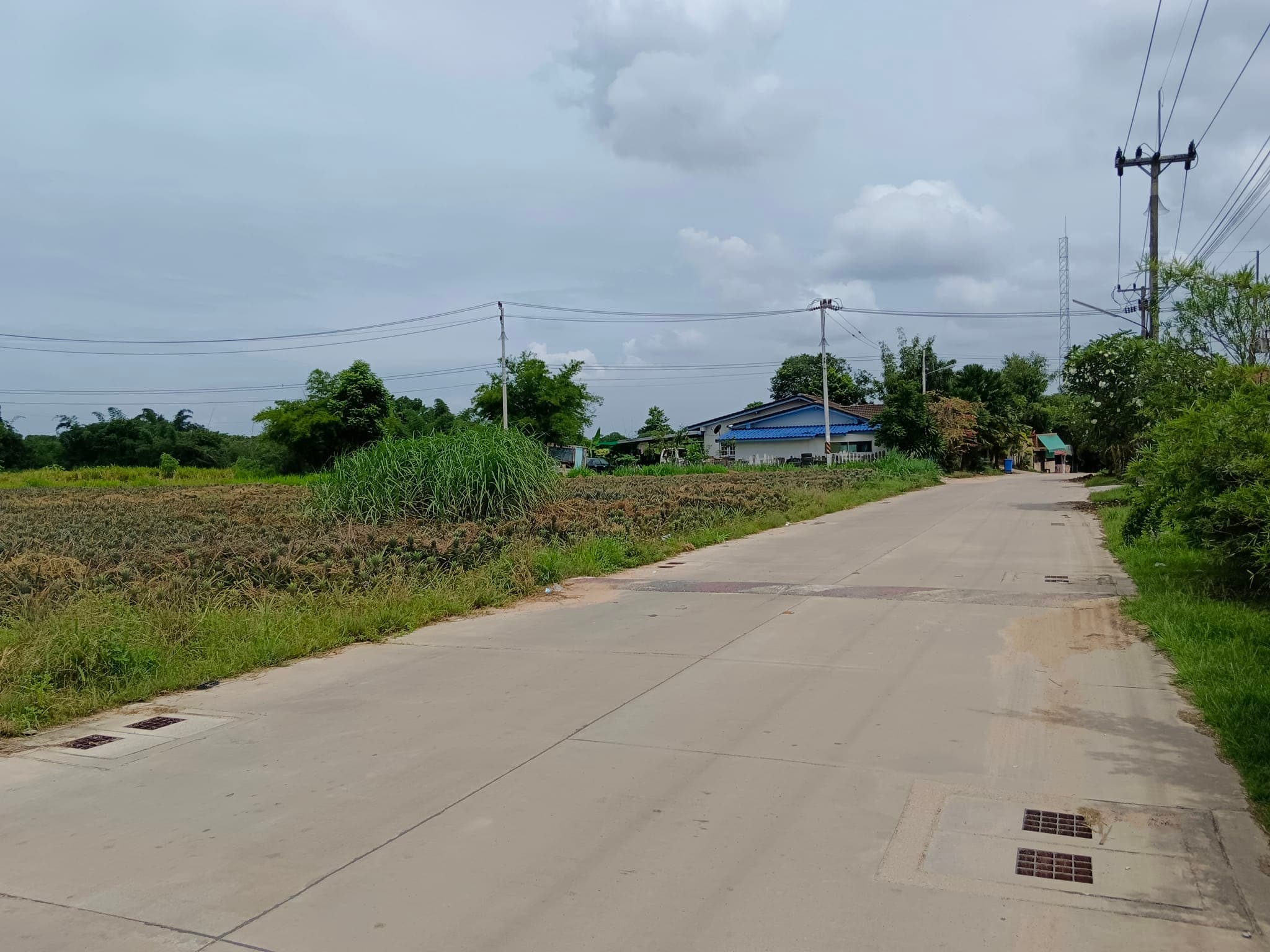 ที่ดิน23ไร่เศษ ติดถนนสายห้วยเหียน ใกล้หมู่บ้านฟอเรสต์ฮิลล์  ชลบุรี 