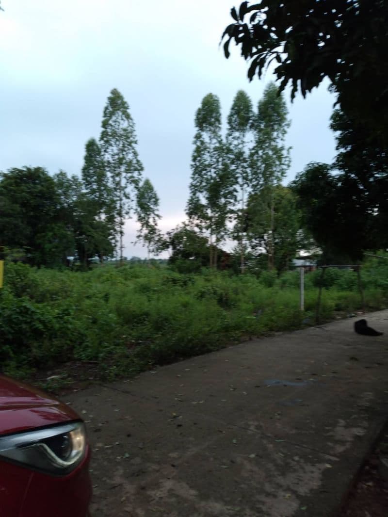 ขายที่ดินอุดรธานี 0-1-0