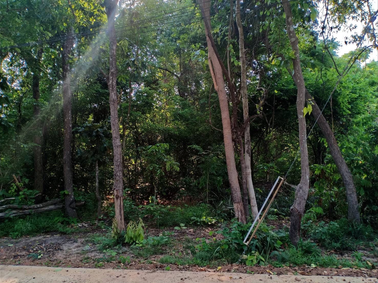 ขายที่ดินสกลนคร เมืองสกลนคร 6-3-18