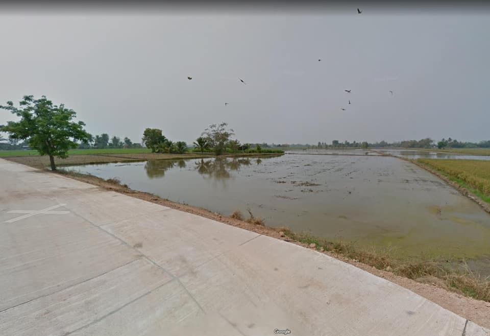 ที่ดิน ด้านหลังมีสระน้ำ  พิษณุโลก 3 งาน