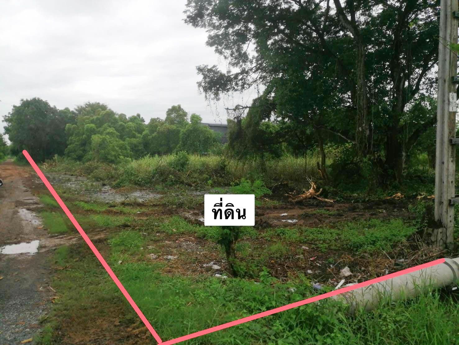 ทำเลดีติดถนนประชาสำราญ  2-0-7 ไร่  พร้อมถม เขตหนองจอก กรุงเทพฯ