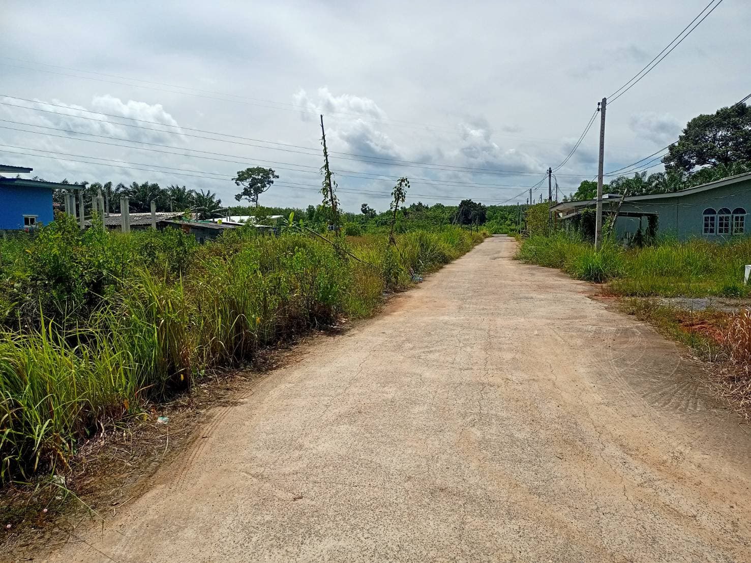 ขายที่ดิน 49.6 ตรว. สุราษฎร์ธานี