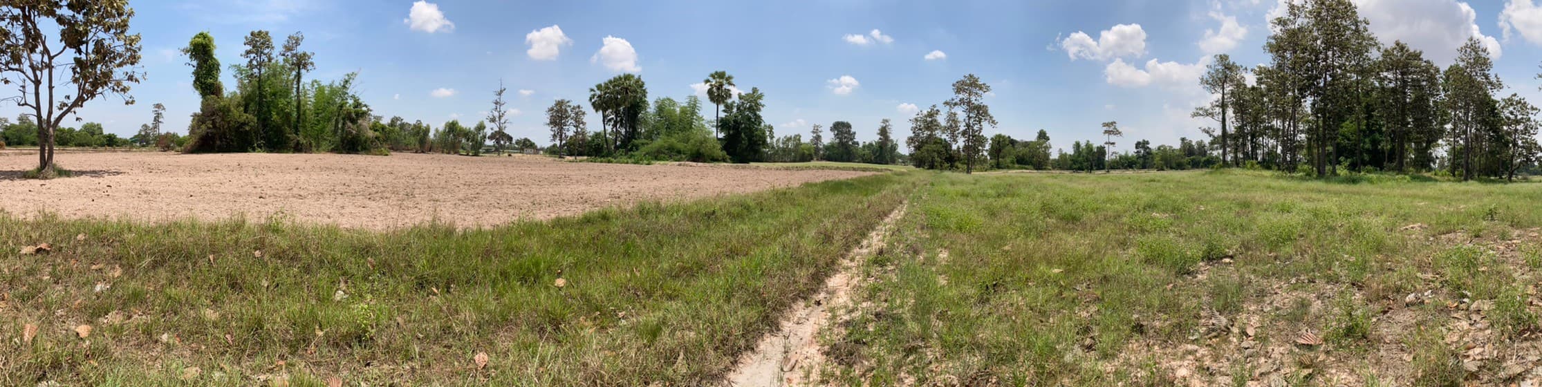 ที่ดินเปล่า ยโสธร 4 ไร่