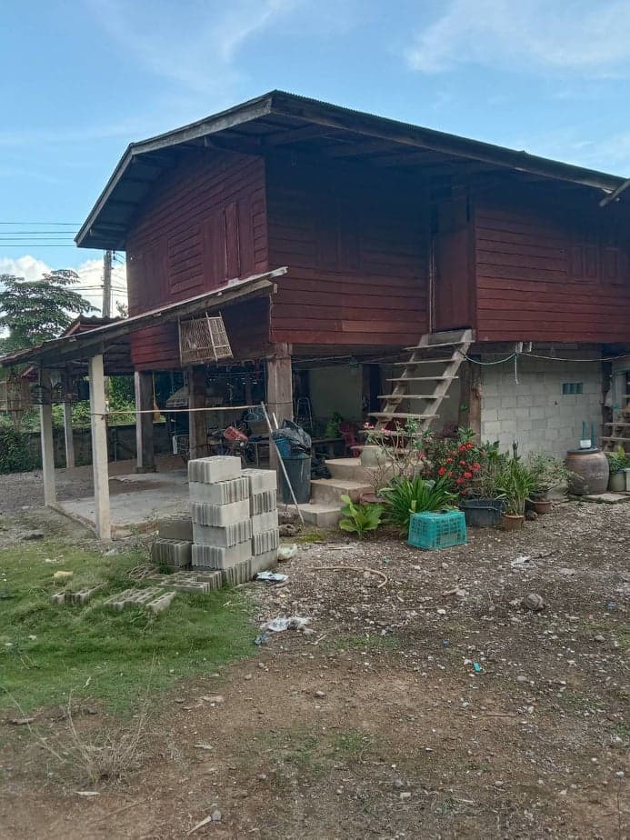 ขายบ้านเชียงราย พญาเม็งราย 0-1-96.1