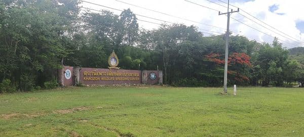 ที่ดินวิวภูเขา ราชบุรี 25 ไร่