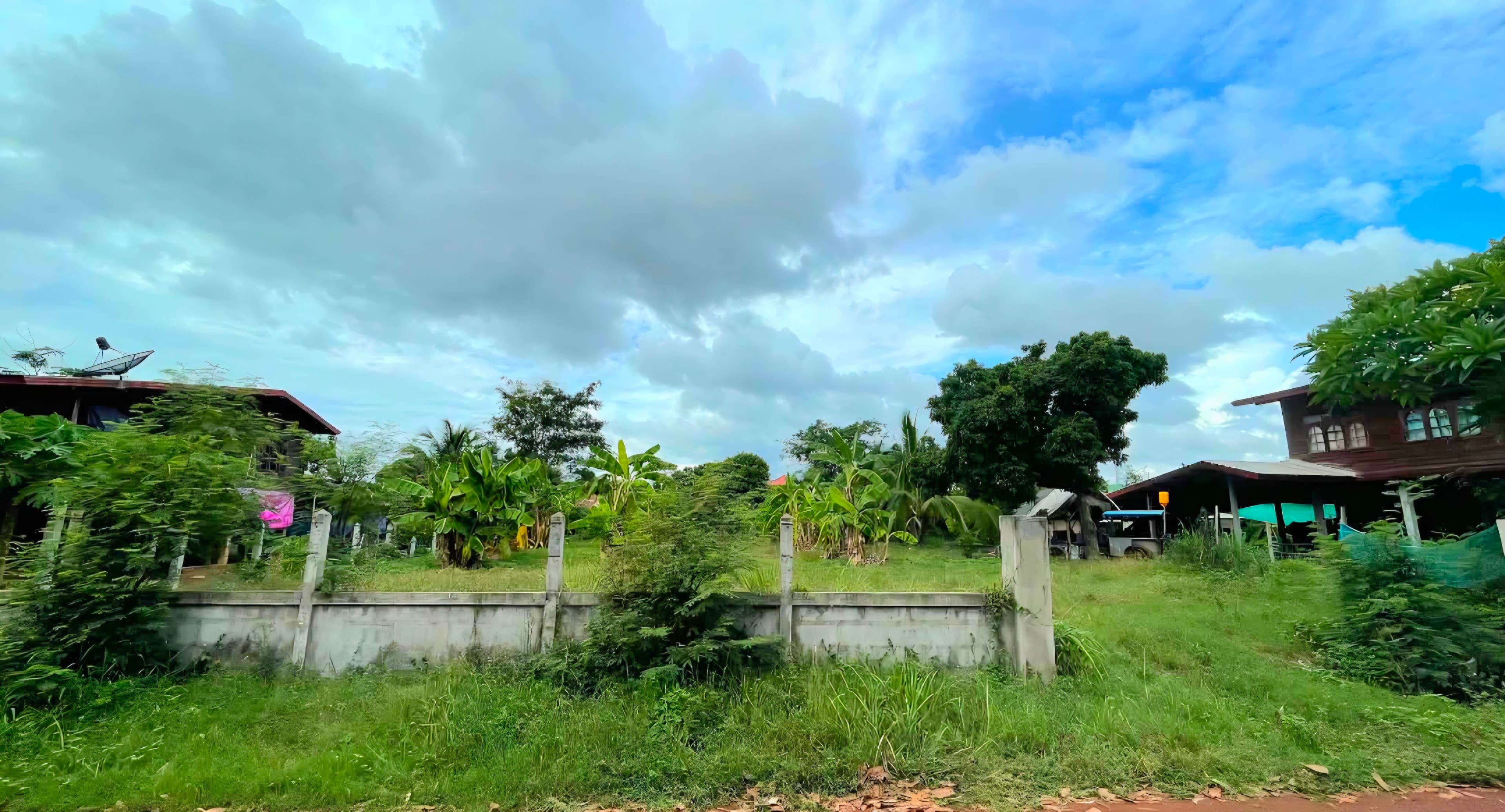 ขายที่ดิน สกลนคร เมืองสกลนคร หนองลาด 288 ตารางวา