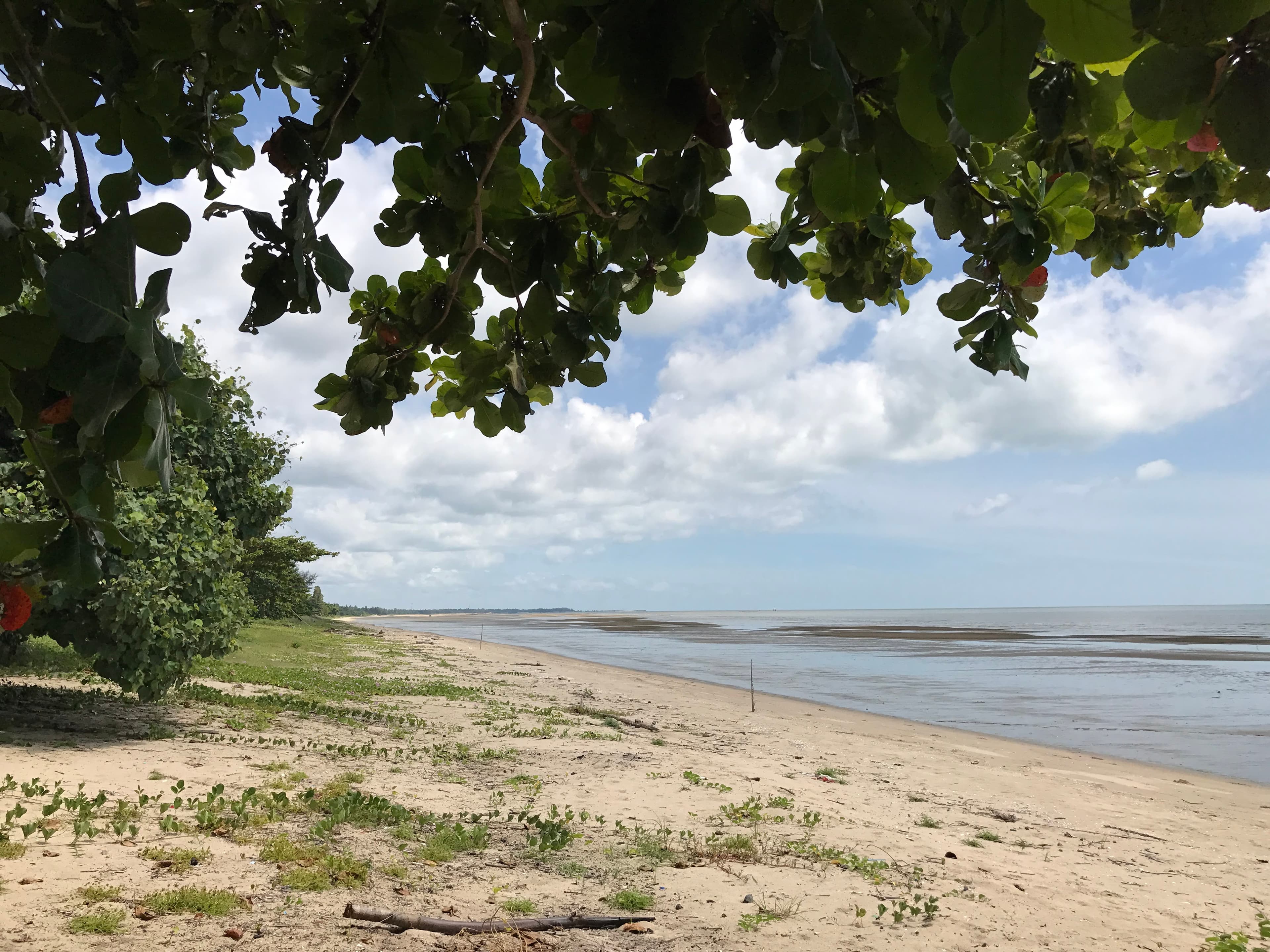 ที่ดินติดชายหาด วิวสวย สุราษฎ์ธานี 11-3-24