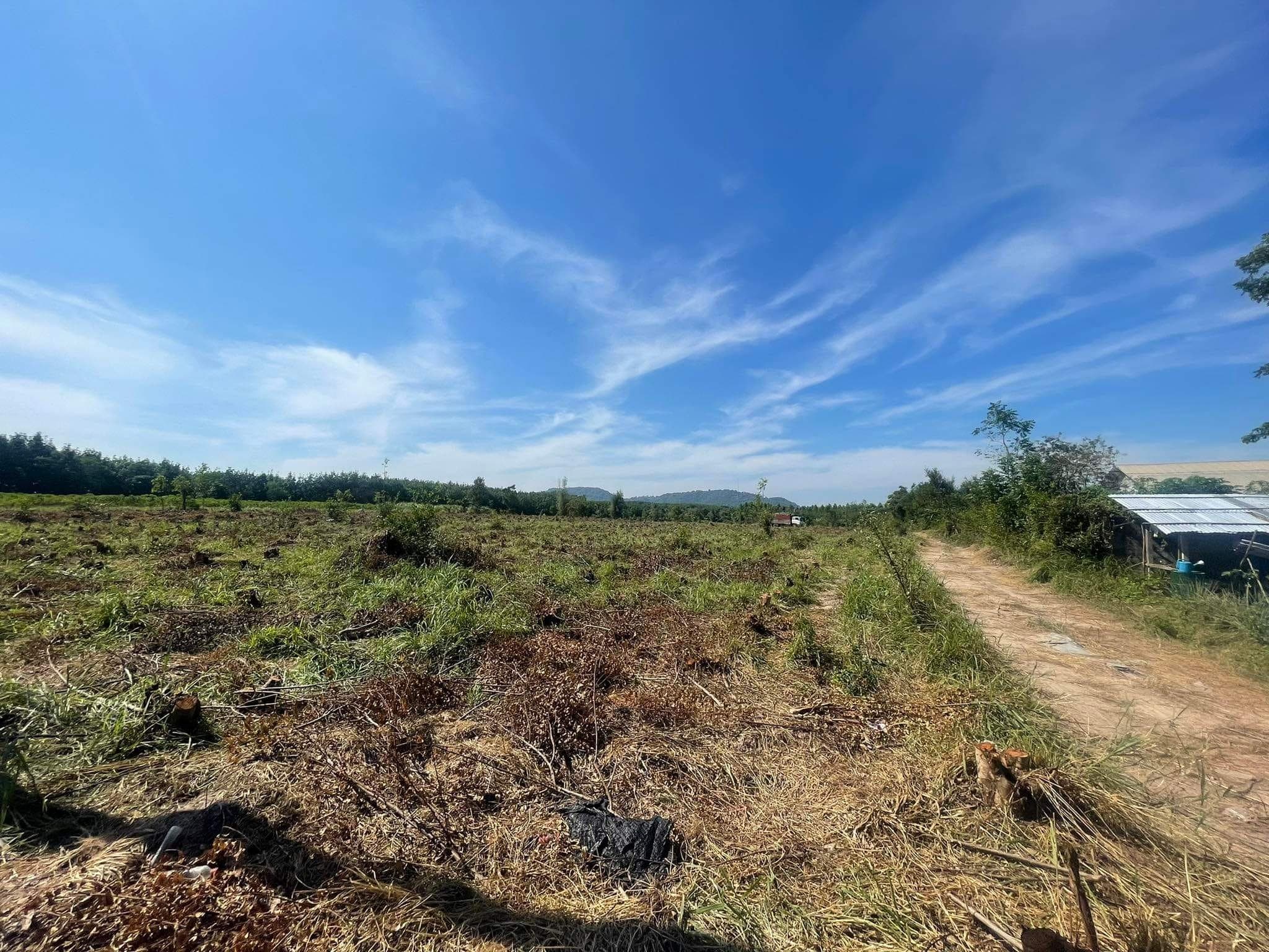 ขายที่ดิน อ.บ้านบึง จ.ชลบุรี  20-2-70 ไร่