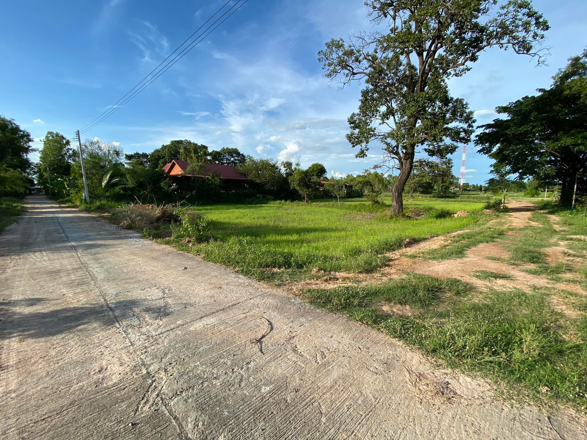 ขายที่ดินเปล่าร้อยเอ็ด จ.ร้อยเอ็ด อ.ปทุมรัตต์ 2  ไร่