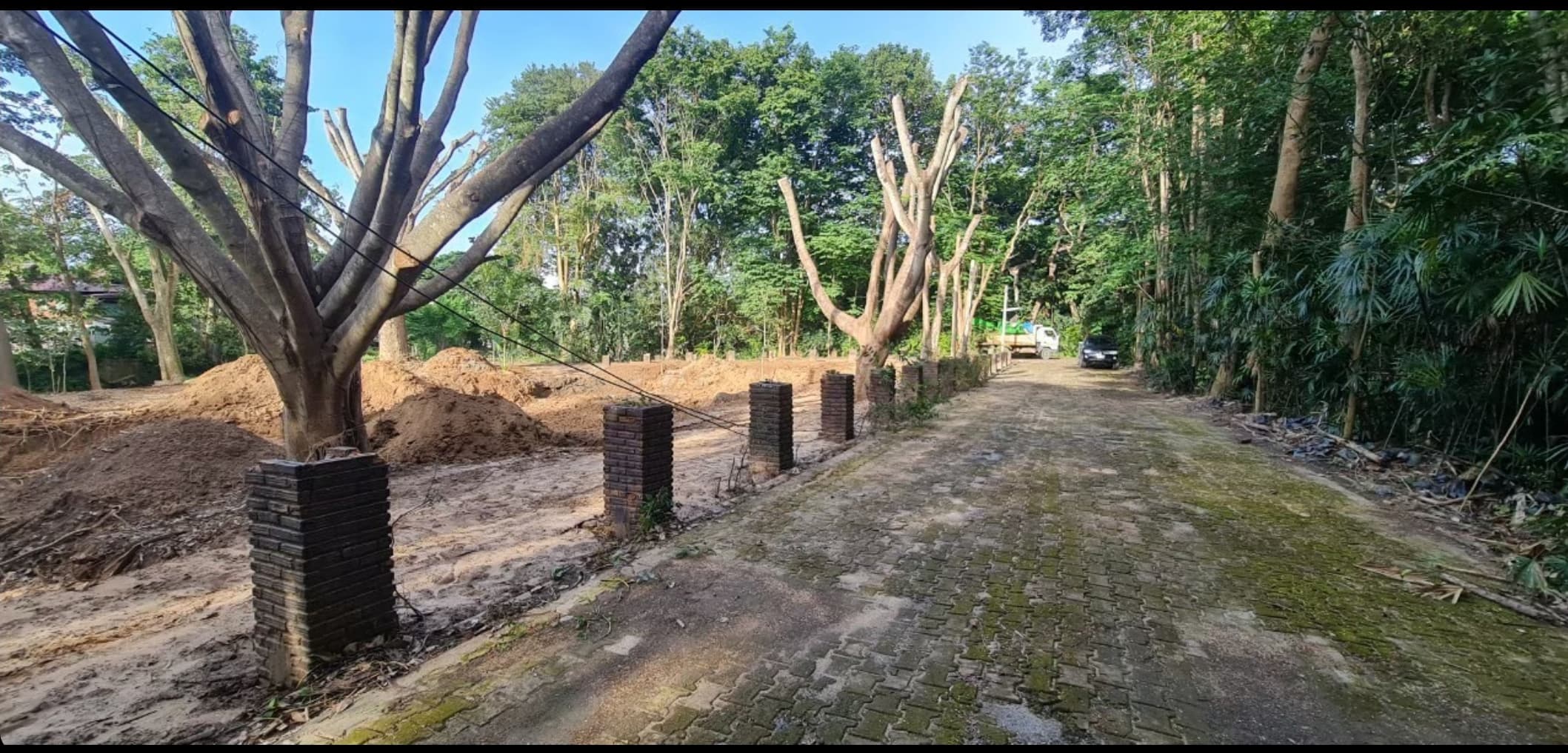 ขายที่ดินติดลำธาร น้ำไหลตลอดปี เชียงใหม่ 0-3-44 ไร่