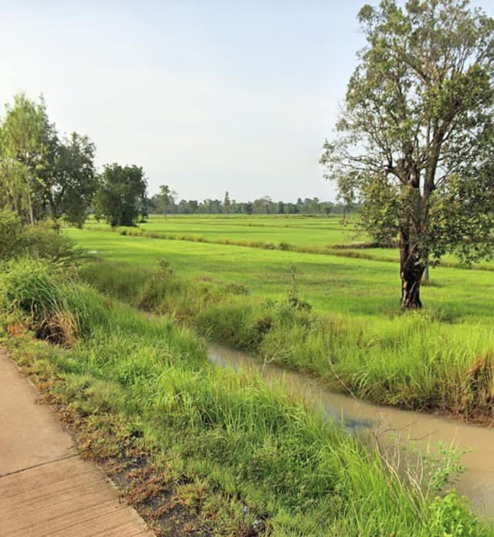 ขายที่ดิน บุรีรัมย์ 7-2-93