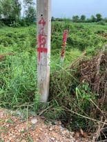 ที่ดินแปลงสวย ปทุมธานี 150 ตร.ว