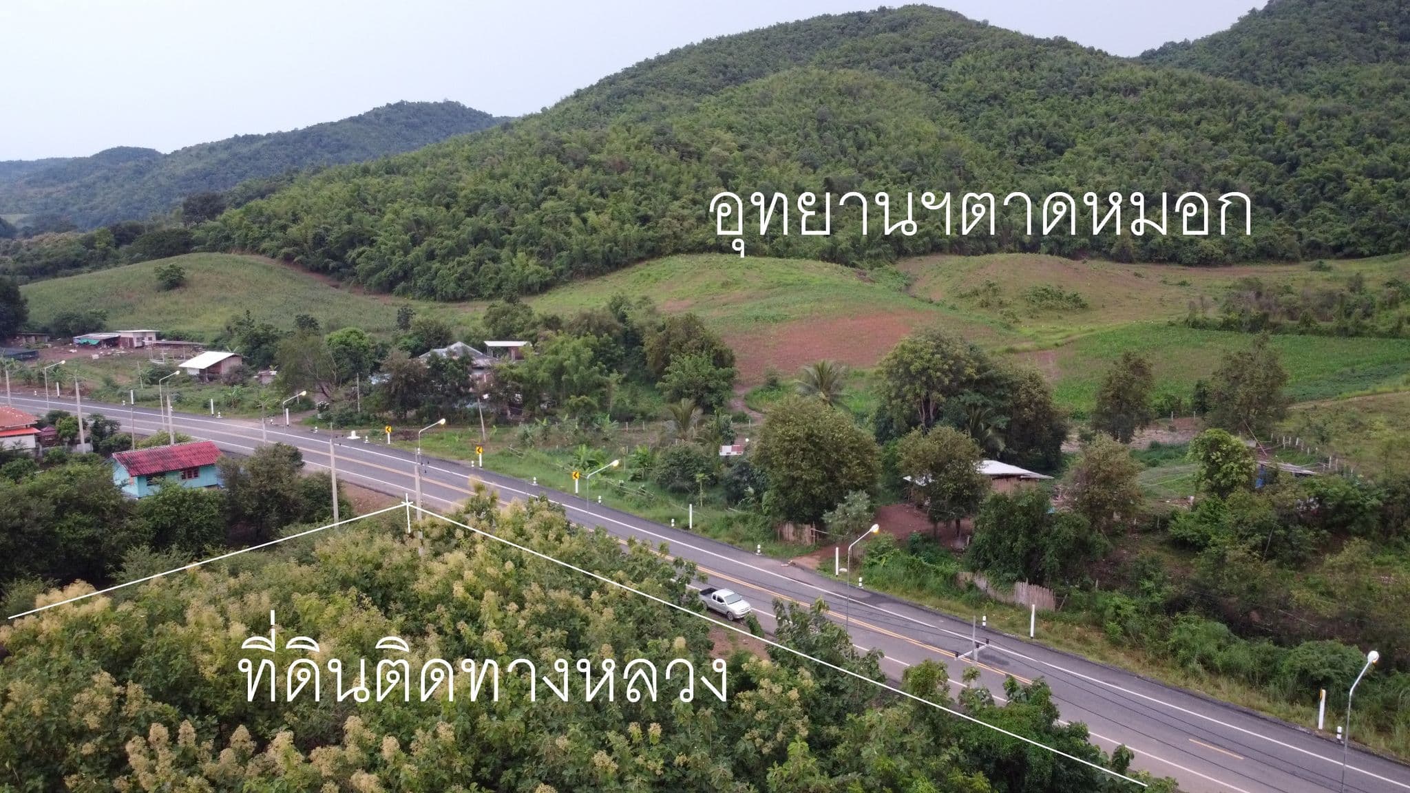 ที่ดินใกล้อุทยานแห่งชาติ ตาดหมอก 120 ตร.ว