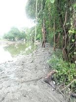 บ้านพร้อมที่ดิน สมุทรปราการ