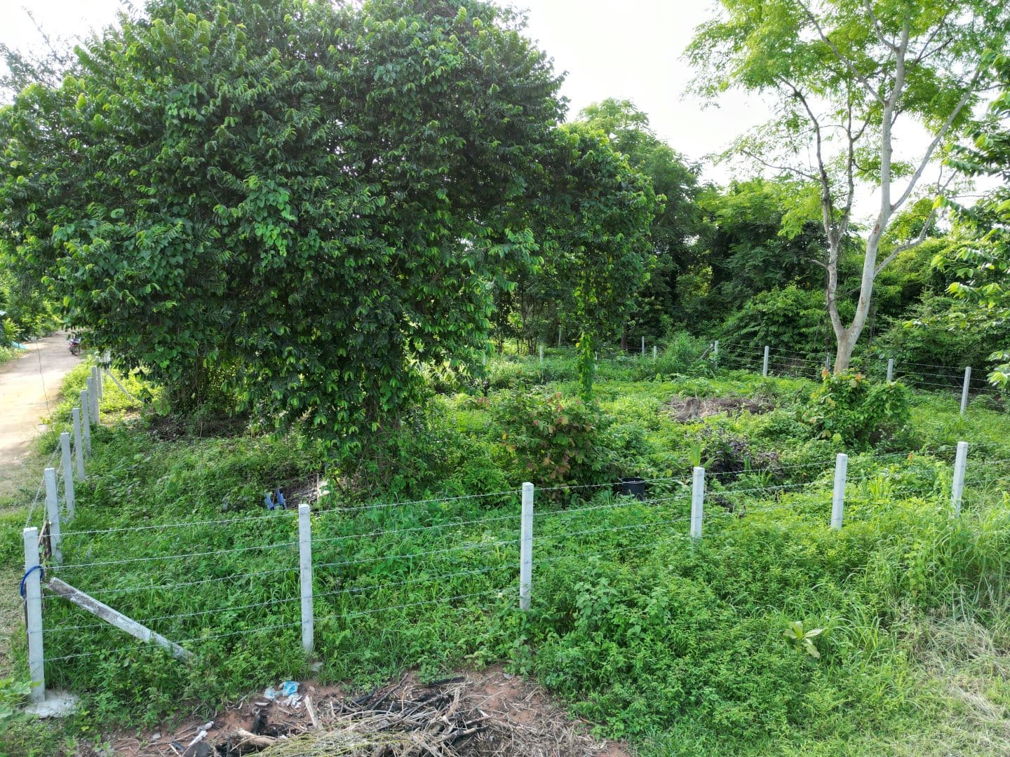 ขายที่ดินขอนแก่น เมืองขอนแก่น 0-1-8.2