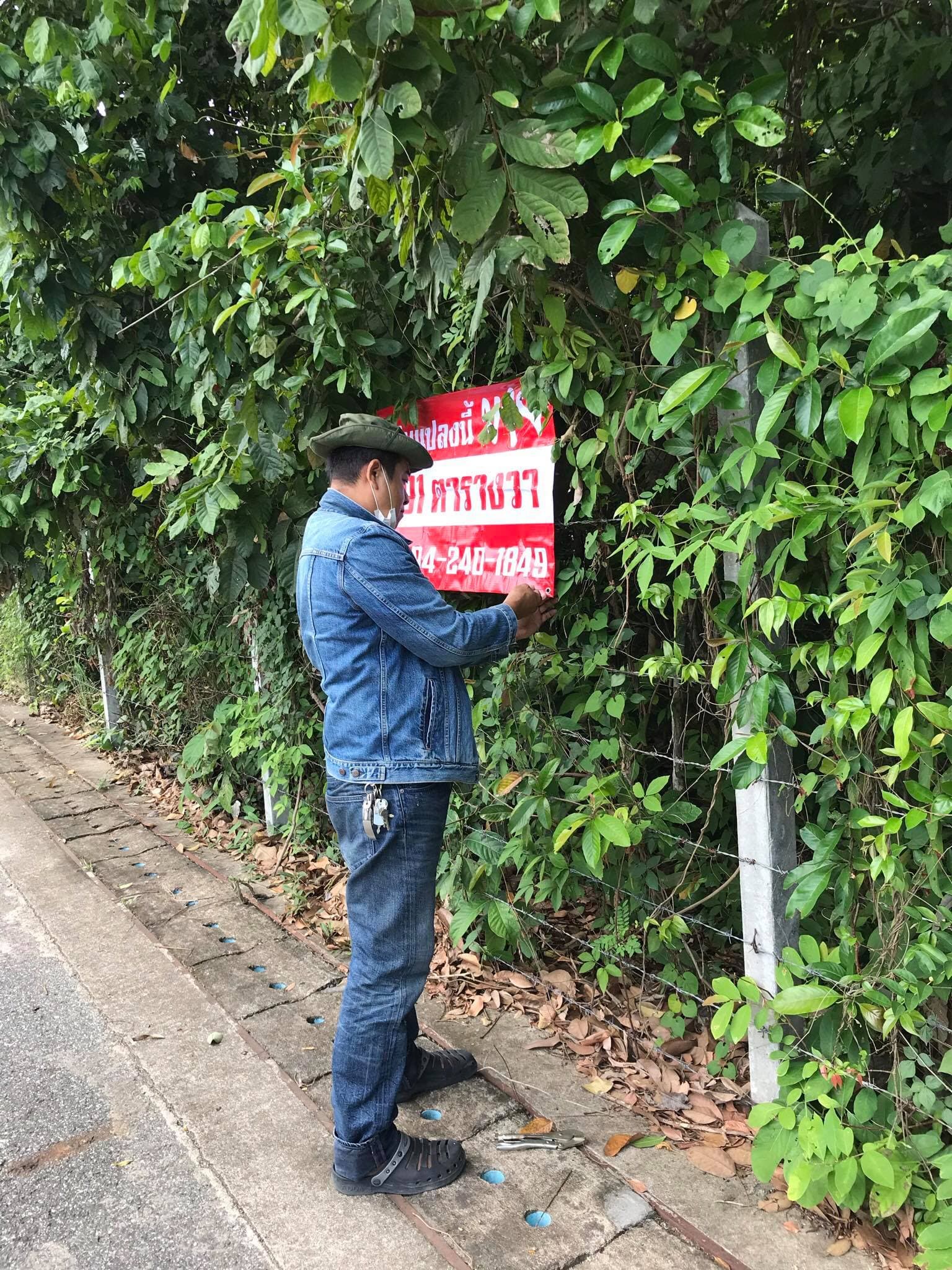 ที่ดินเปล่า ชลบุรี 291 ตร.ว