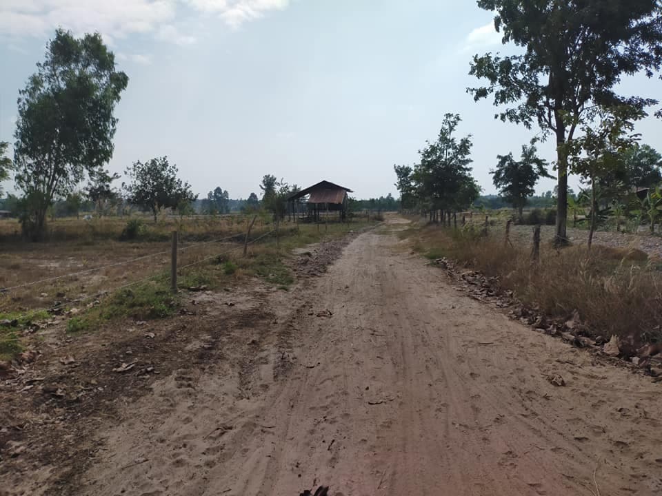 ขายที่ดิน กาฬสินธุ์ 6-1-58 ไร่