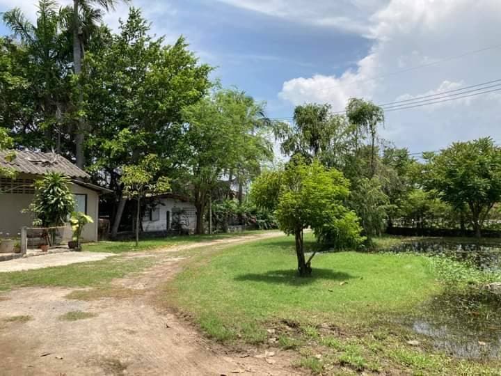 ขายบ้านประจวบคีรีขันธ์ หัวหิน 2-1-68