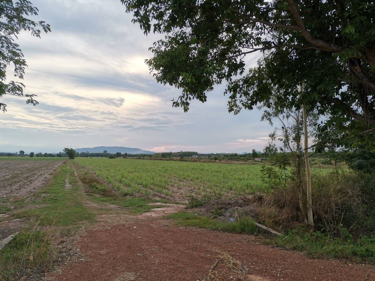 ขายที่ดินกำแพงเพชร ใกล้หมู่บ้าน ในเขตเทศบาล