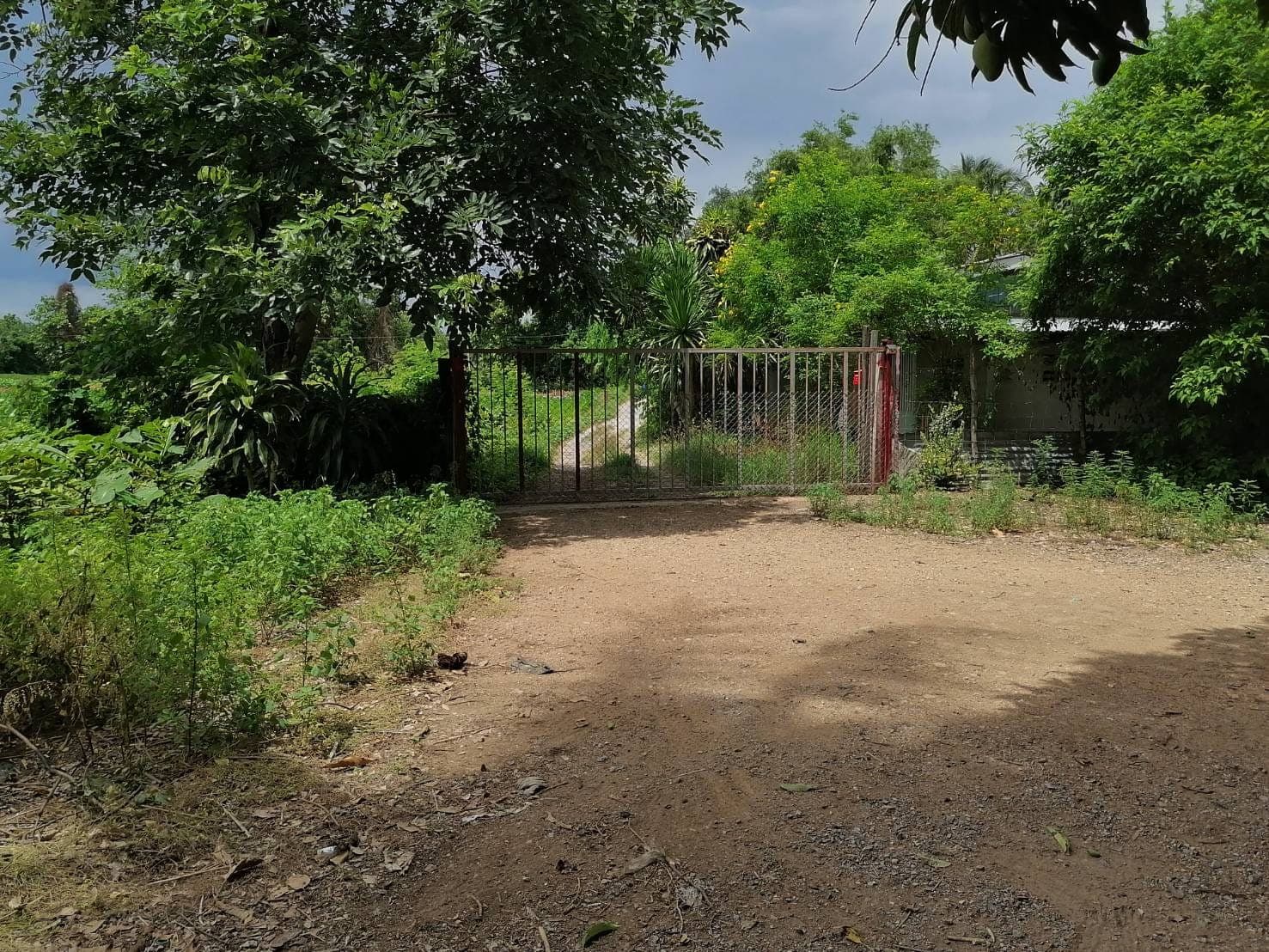 ขายที่ดินสระบุรี เสาไห้ 8-1-27