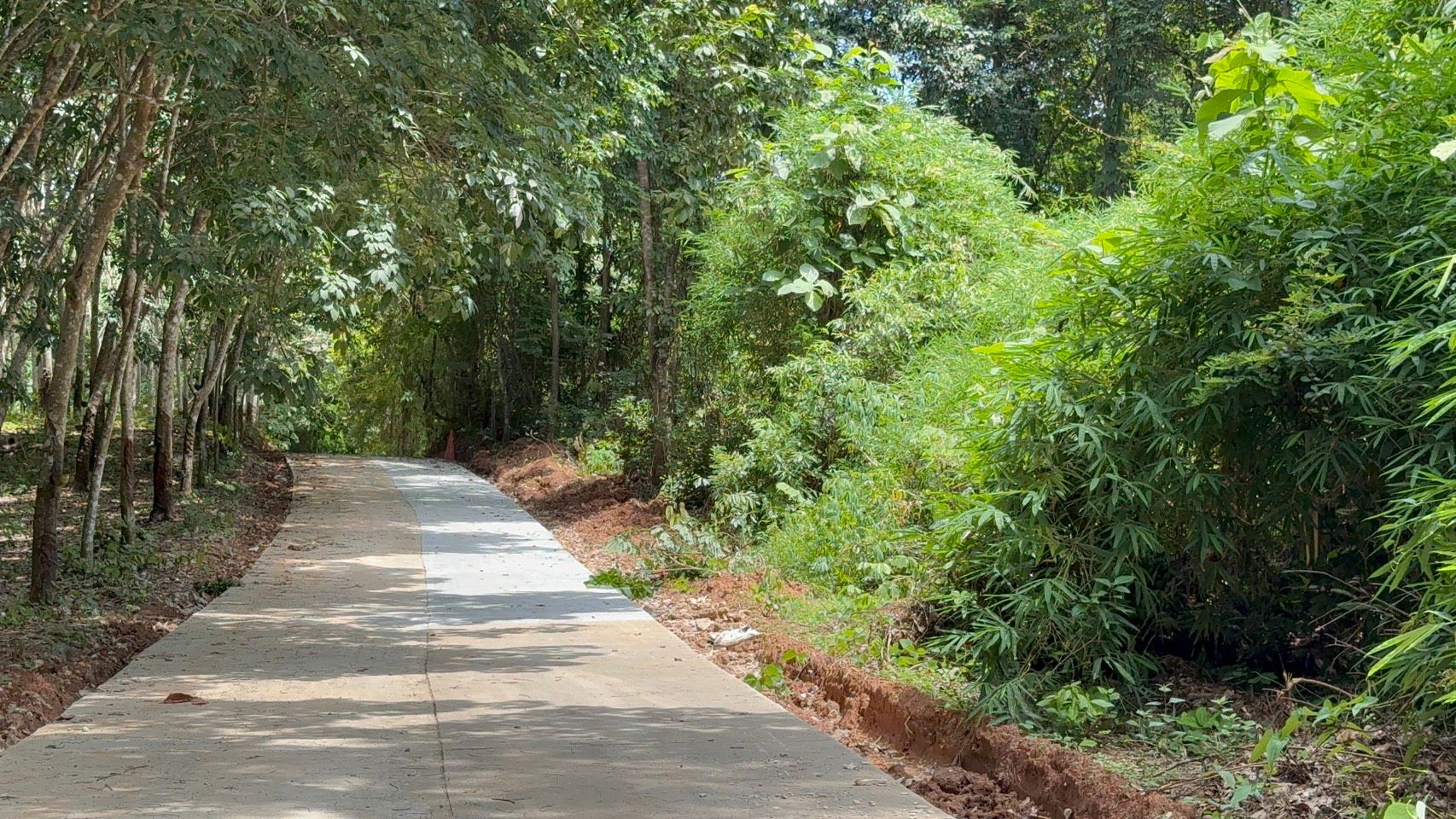 ขายที่ดินหนองคาย สังคม ขายด่วน ทำเลทอง ใกล้ริมแม่น้ำโขง 19-1-24 ไร่.